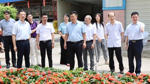 自治區(qū)政協(xié)常委、梧州市政協(xié)主席黃振饒蒞臨百裕集團走訪調研