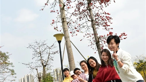 百裕集團(tuán)開(kāi)展多樣慶“三·八”婦女節(jié)活動(dòng)